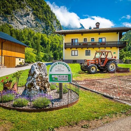 Bed and Breakfast Hinterkellaubauer Kuchl Exteriér fotografie