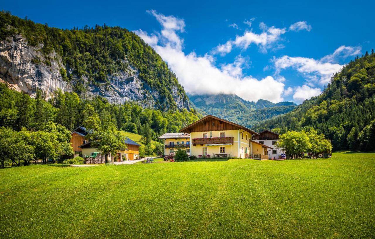 Bed and Breakfast Hinterkellaubauer Kuchl Exteriér fotografie