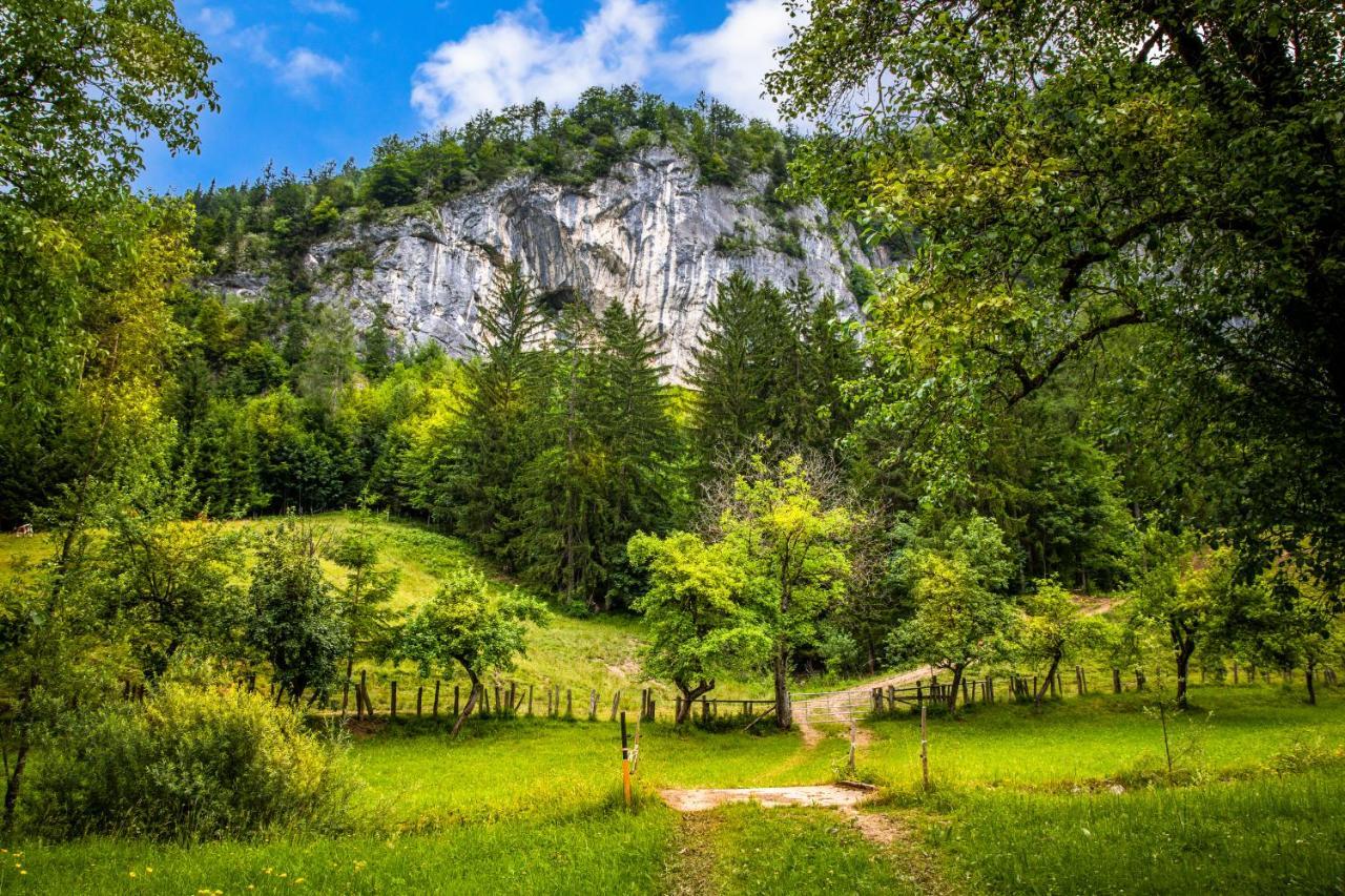 Bed and Breakfast Hinterkellaubauer Kuchl Exteriér fotografie